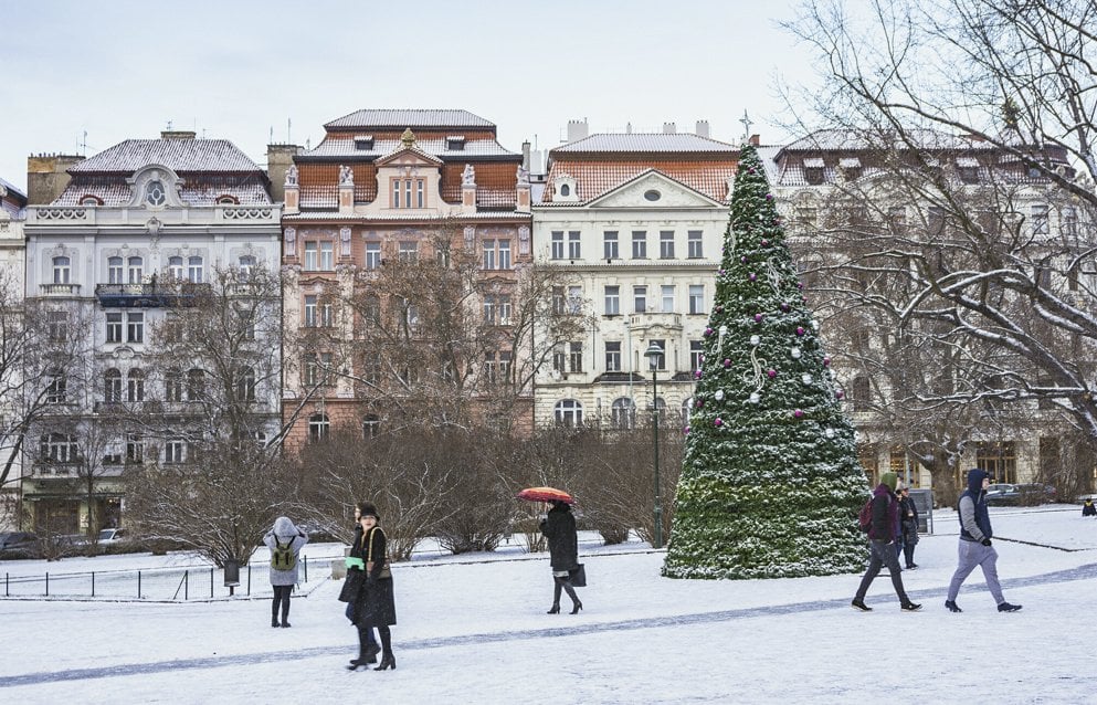 snow and christmas tree in namesti miru, prague
