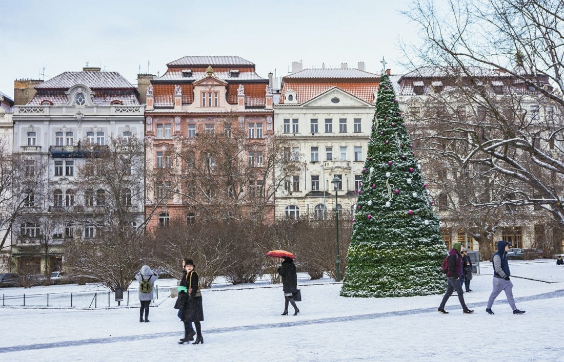 a Christmas tree in the snow in Namesti Miru, Prague