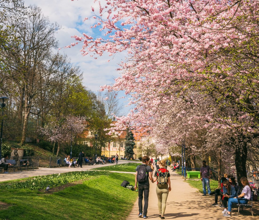 how to spend a weekend in prague - petrin park in spring