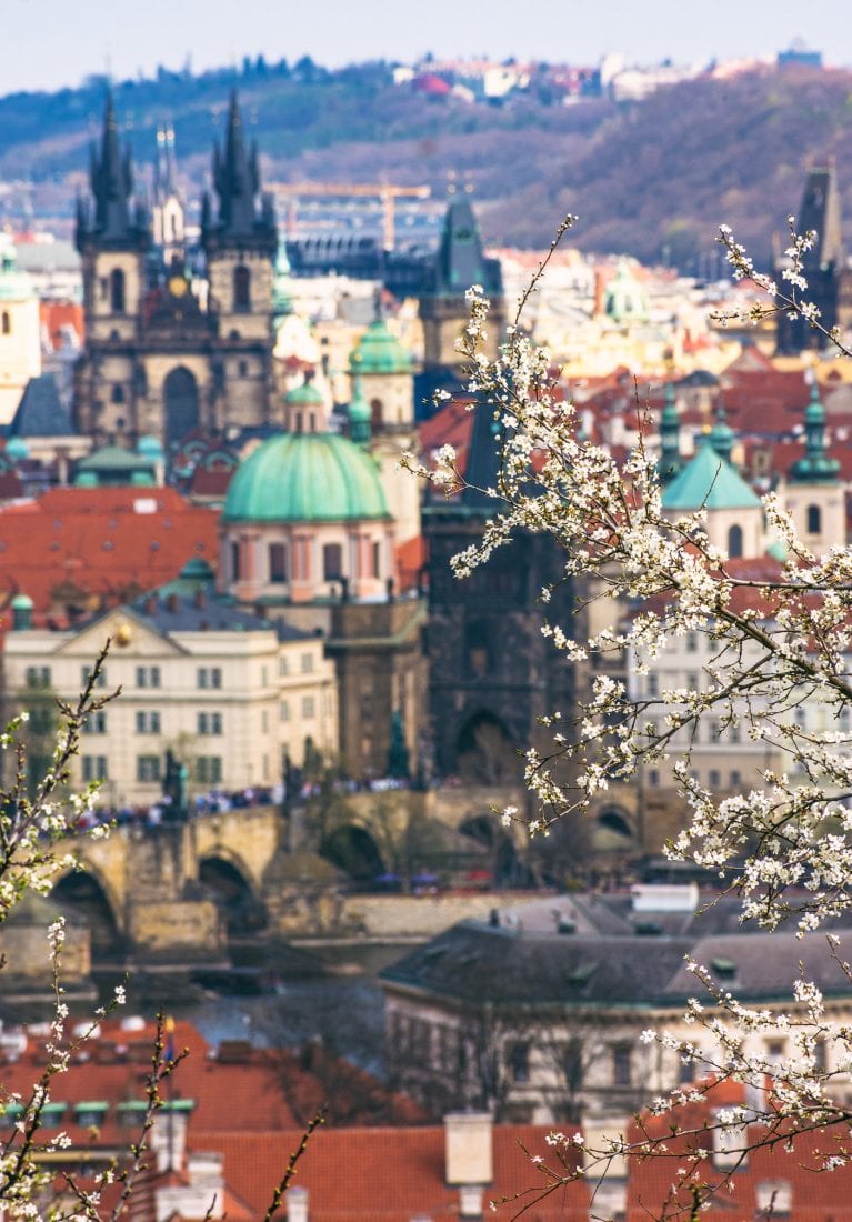 pictures that will make you want to move to prague - spring in petrin park