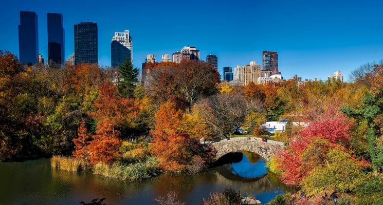 autumn foliage in New York's Central Park