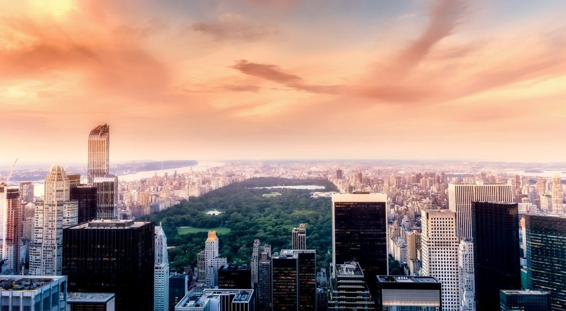 explore central park - things to do in new york city