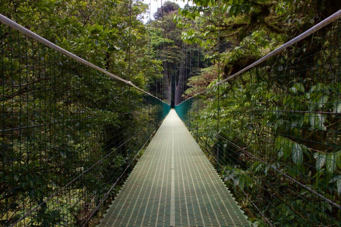 picture of a bridge in Monteverde Cosa Rica