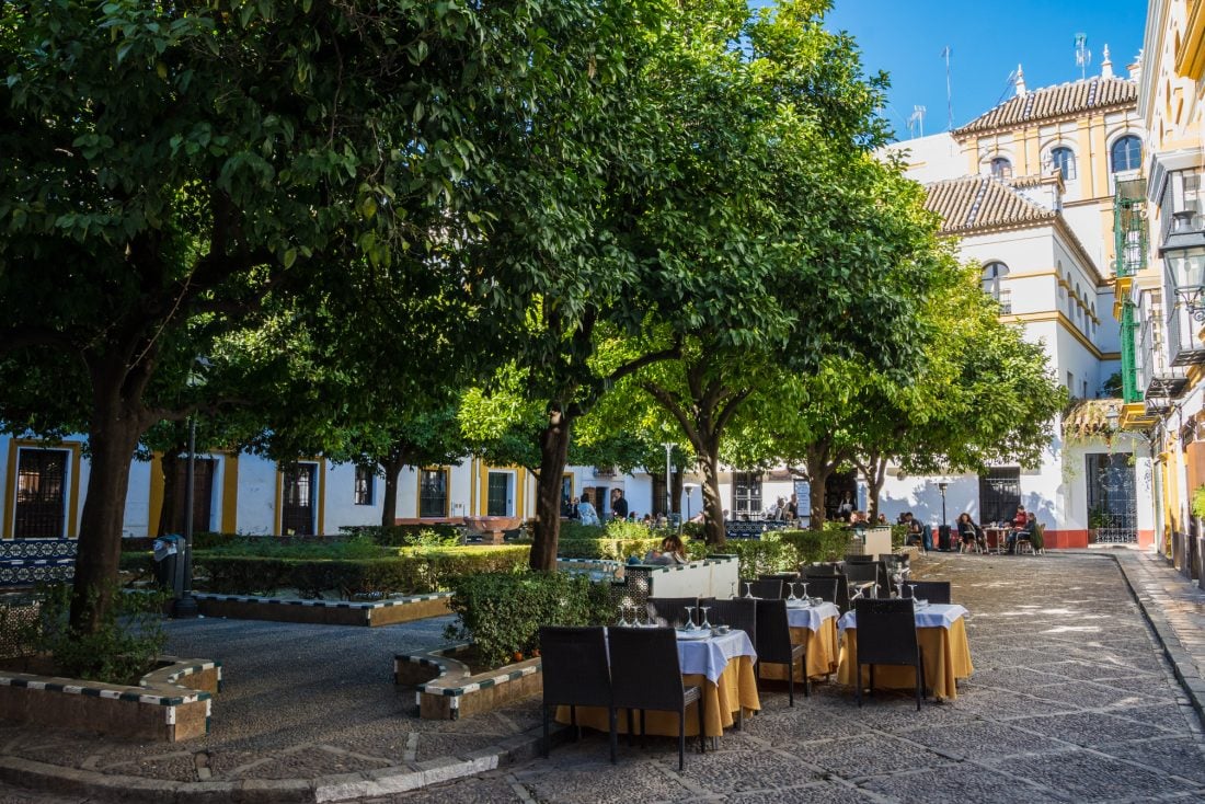 Tables and chairs set up for outdoor dining under some trees in a courtyard in Barrio de Santa Cruz, Sevilla.