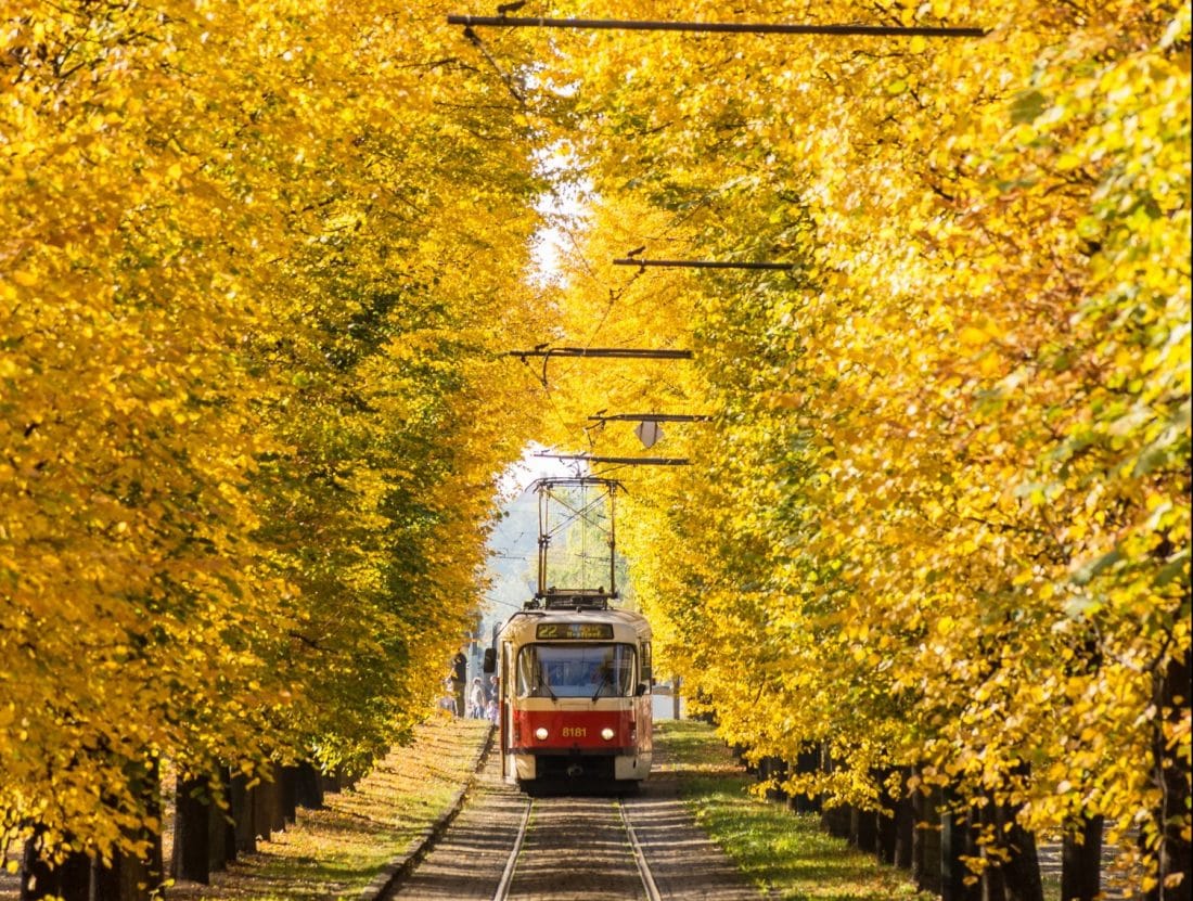 a tram rolling under a canopy of autumn colors in Prague