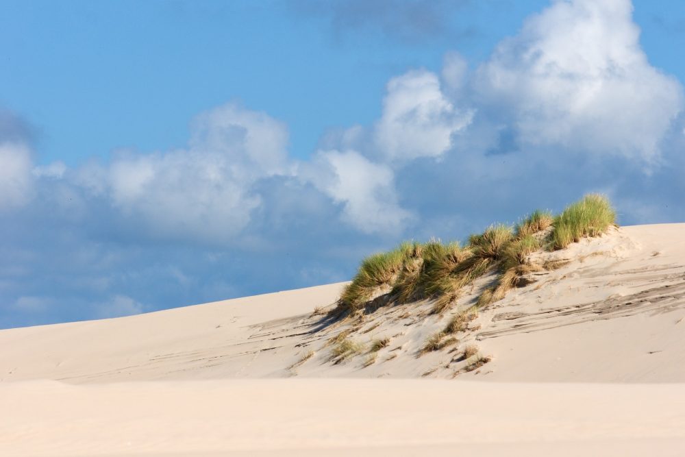 Leba Sand Dunes in Poland