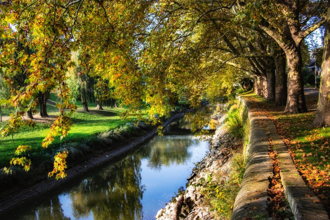 margaret island budapest