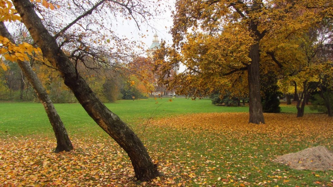 margaret island budapest hungary