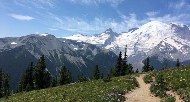 hiking path near Mount Rainier