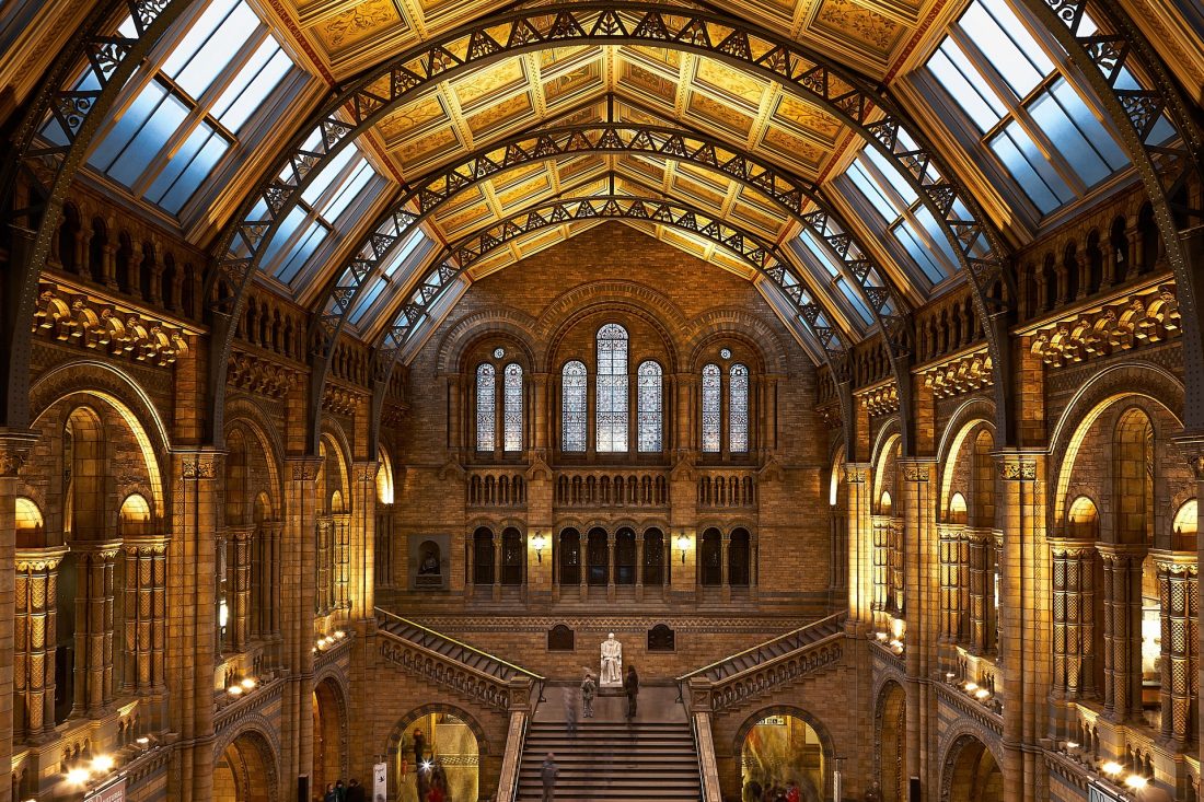 The main hall of the Natural History Museum in London