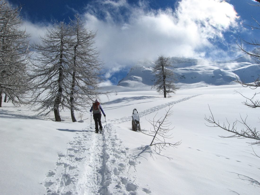 snow shoeing switzerland