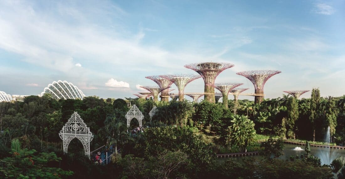 trees and the super tree buildings in Singapore