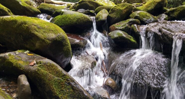 water cascading over mossy rocks