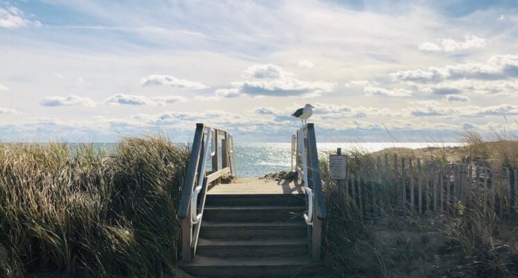 stairs onto a wooden board walk overlooking the ocean in cape cod
