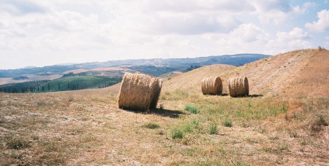 Bales of hay in the fields along the road of Via Francigena in Italy.