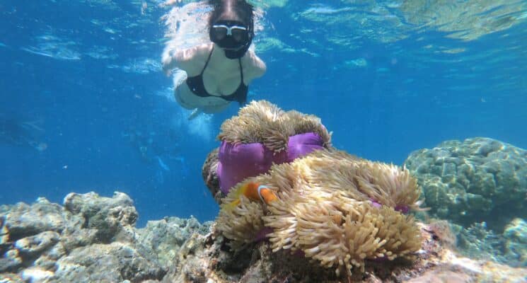 woman Snorkeling near a reef oahu hawaii
