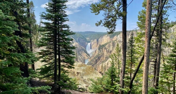 scenic overlook at a waterfall in yellowstone itinerary