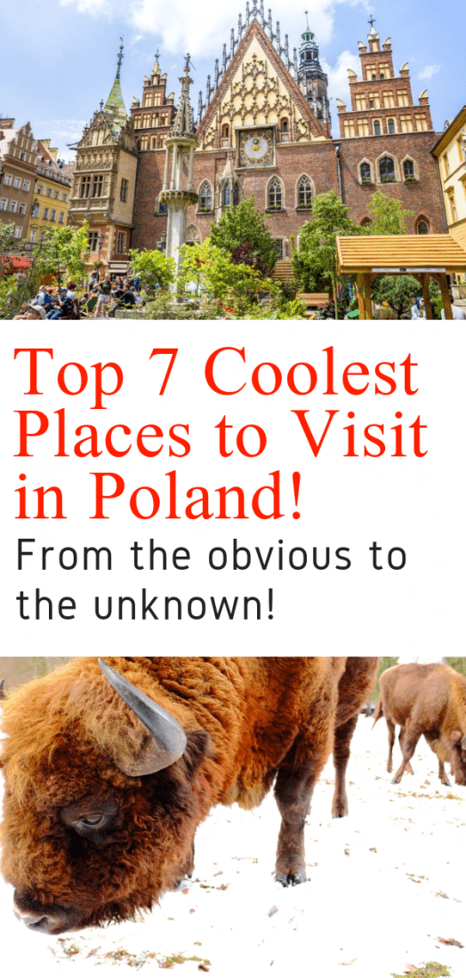 Poland Travel - Want to know what the best places to visit in Poland are? This guide by a local is for you! Krakow, Warsaw, Wroclaw, and a few places only known to Poles! Click to discover Poland! #poland #krakow #warsaw #wroclaw #gdansk #europeantravel #travel #europe